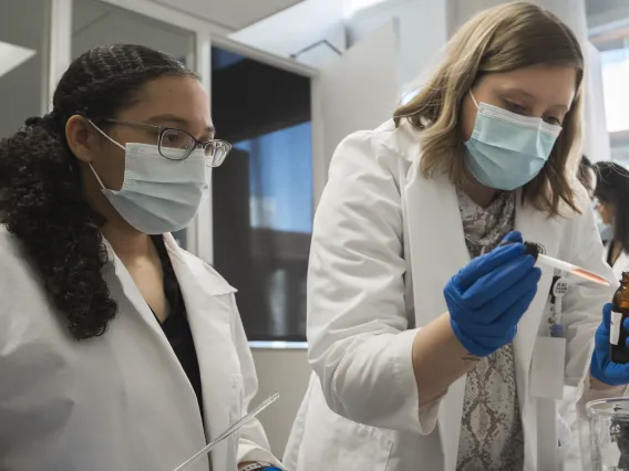 Students in the Phoenix campus lab.
